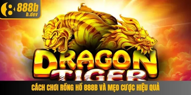 Cách Chơi Rồng Hổ 888b Và Mẹo Cược Hiệu Quả 2 Cách Chơi Rồng Hổ