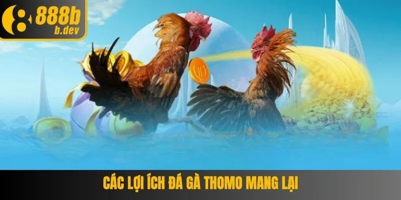 Các lợi ích đá gà thomo mang lại cho hội viên tham gia