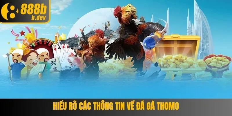 Thể thức thi đấu khi chơi đá gà