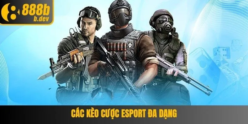 Esport Là Gì Câu Trả Lời Dành Cho Những Người Chơi Mới 5 Tại sao game Esport lại phổ biến?