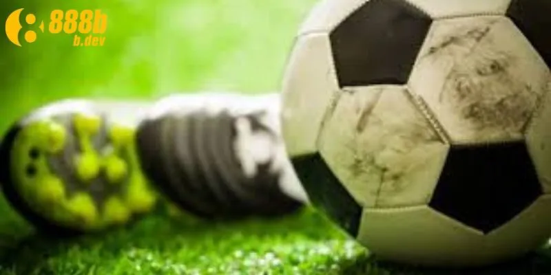 Những bộ môn thể thao người chơi phải thử ở 888b